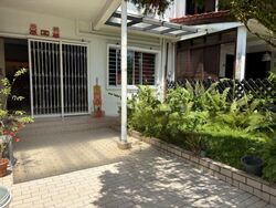 Mount Sinai (D10), Terrace #463601341